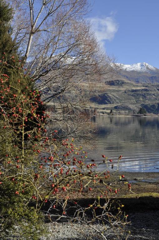 Lansdown Villa Apartments Wanaka Zewnętrze zdjęcie